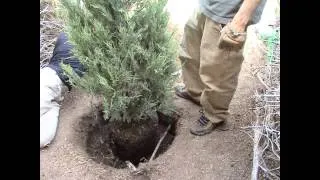 GLG Tree Planting 5-24-2013 WMV