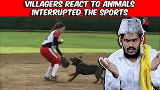 Villagers React To Most Unexpected Animal Interference Moments in Sports | Tribal People Try