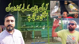 Kal ki bazi kay liye Kabootar select ker liye hain | Khokhar pigeons club | shani pigeon club jallo