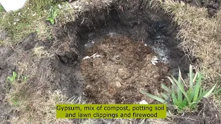 How to prepare a tree planting hole in clay soil according to the Ellen White method