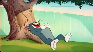 Tom and jerry episode no. 156