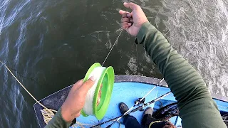 BIG STING RAY ON HAND LINE! - Multi-Species Fishing The Shallows of the Gulf - Trinidad, Caribbean