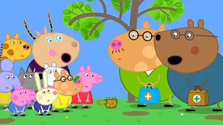 The Upside Down Tortoise 😯 🐽 Peppa Pig and Friends Full Episodes