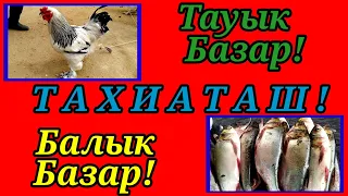 🐓ТАУЫК БАЗАР🦃🐠БАЛЫК БАЗАР 16.07.23ж#тахиаташ#кк-истан#узбекистан#базар#рынок#петух#курица#рыба