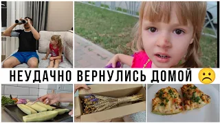 Неприятность... ☹️Бурьян за 600 рублей🤦‍♀️Впервые готовлю "Лодочки" 🥒