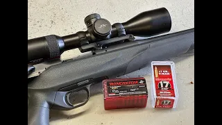 GUN TEST: Blaser R8 17HMR rimfire conversion