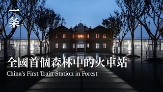 【EngSub】全國首個森林中的火車站，低調且美！ China’s First Train Station in Forest, Hidden and Attractive