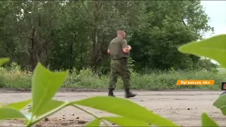 ВСУ взяли под контроль населенный пункт Золотое-4 на Луганщине