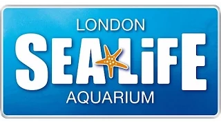 Лондон 2013. День 4 Часть 2. Лондонский Aquarium (SeaLife)