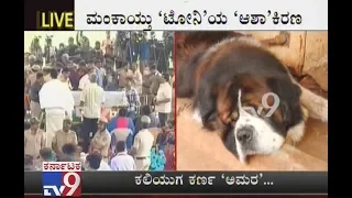 Ambareesh's Dog 'KANVAR' Is Grieving His Owner's Death, Heartbreaking