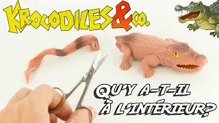 KROCODILES & CO Qu'y a-t-il à l'intérieur? Altaya Jouets Toy Review Cocodrilos Juguetes