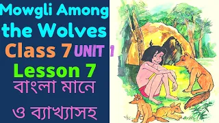 Mowgli Among the Wolves Class 7 Lesson 7 in Bengali। WB Class VII Chapter 7 English Text in Bengali।