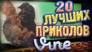 Лучшие Приколы Vine! (ВЫПУСК 51) [17+]