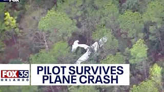 Pilot crashes plane in Florida, makes it out alive