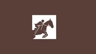 Equestrian - Dressage GPS Finals & VC - London 2012 Olympic Games