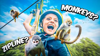 🐒 MONKEYS 🐵 and ZIP LINE with GRANDMA 👵 ?? Kids fun adventure