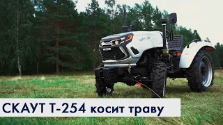 Трактор СКАУТ T-254 косит сено | Работа сенокосилки Lisicki 1,35