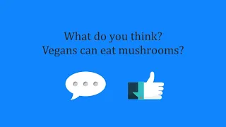 Sentient Mycelium, Vegans, what say you?