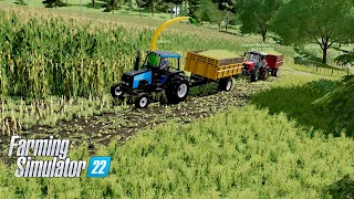 Série Arrozeira #8  "Arroz do Gian finalizado" mapa Ribeirão Jundiá mapa para  Farming Simulator 22