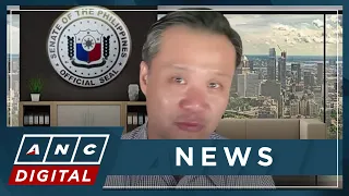 Gatchalian worried over POGOs 'getting into' politics to gain protection | ANC