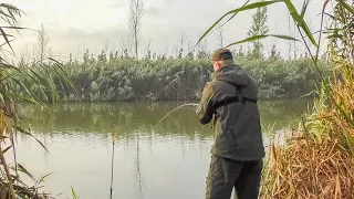 ДА КТО В ЭТОЙ ЯМЕ!!!? ПРОВЕРИЛ ЕЩЕ ОДНУ, НЕ ОЖИДАЛ ТАКОГО КЛЕВА!!! Рыбалка на донки осенью.