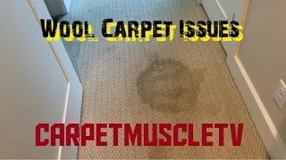 Wool Carpet Cleaning Instruction Vlm Challenger Op.