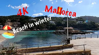 Touring Camp de Mar Mallorca: What Happens in February 2023?