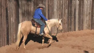 Casey Deary Starting 2-Year-Olds Part 6