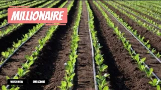 Here’s Why Irrigation Farming Will Make You RICHER Than Other Farmers | Detailed Tips For Beginners