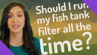 Should I run my fish tank filter all the time?