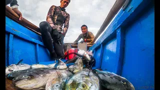 Caught 13 DOLPHIN FISH | Spearfishing Philippines Blue Water Spearfishing