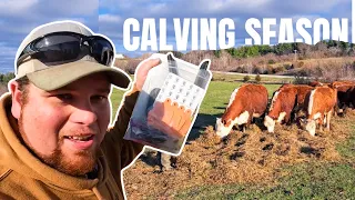 SPRING CALVING ON AN IOWA FARM - Day in the life!