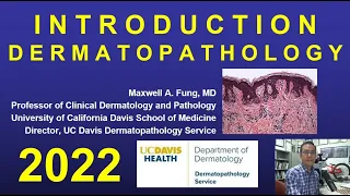 Introduction to Dermatopathology 2022