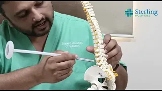 Endoscopic spine surgery - Advanced surgical treatment for sciatica