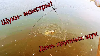 Рыбалка на паук! День крупных щук!!! Первая рыбалка по открытой воде 2020! Адреналин зашкаливает!