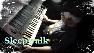 Sleepwalk   ( Keyboard Cover ) -- The Shadows Style