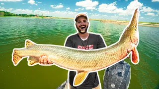 Bowfishing GIANT RIVER GAR Catch Clean Cook!!! (Lucky Shot)