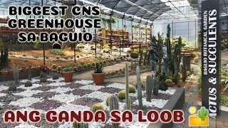 The biggest Succulent & Cactus Greenhouse in Baguio City Philippines | Baguio Botanical Garden Tour