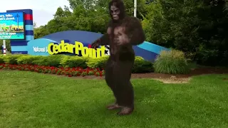 Bigfoot spotted at Cedar Point ???