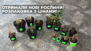 Отримали НОВІ РОСЛИНИ! Розпаковка з цінами.