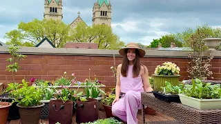 May Container Garden Tour🪴 What's Growing On My Rooftop Decks!