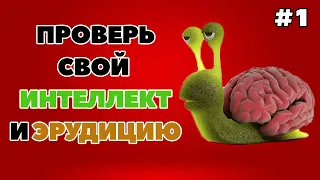 ТЕСТ НА ИНТЕЛЛЕКТ И ЭРУДИЦИЮ #1