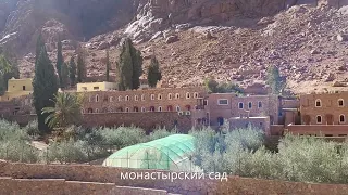 Монастырь святой Екатерины на Синае  St  Catherine's Monastery in Sinai