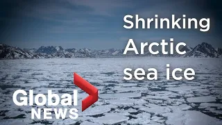 Arctic sea ice shrinks to second-lowest level on record due to rising temperatures