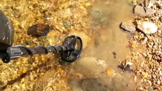 Metal Detecting World's Largest Coin Spill!! $50K Penny Spill In Henry Creek!!!!