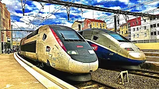 Gare de Montpellier Saint-Roch - Compilation de TGV, OUIGO, AVE, Intercités, FRET & INFRA SNCF