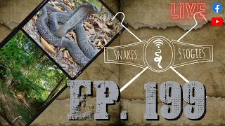 Andaman & Nicobar | Snakes & Stogies Ep. 199