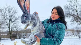 I Cooked the Fattest Rabbit in the Tandoor! Royal Recipe