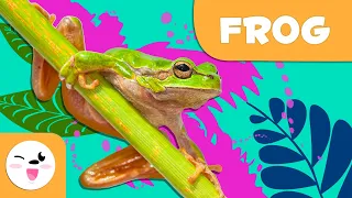 Frog 🐸 Animals for Kids  🏞️ Episode 6