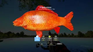 Russian Fishing 4 | Blue Tag Red Starvars Carp - Scaly | 30.377kg